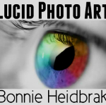 Bonnie Heidbrak opened Lucid Photo Art to feature her unique and artistic photos, which are available to purchase for your home, your office or any commercial space.